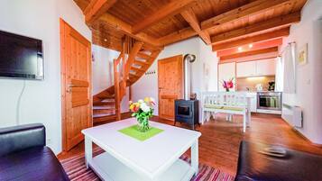 Smart-TV, Kamin