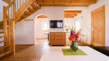 Smart-TV, Kamin