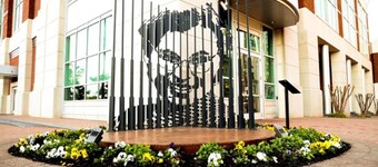 Family & Wellness Retreat • Sleeps 8 • Near AUBURN