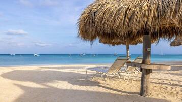 على الشاطئ