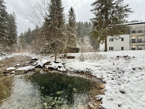 Property grounds - Treehouse - Apartment with 1 bedroom (Grünau im Almtal)