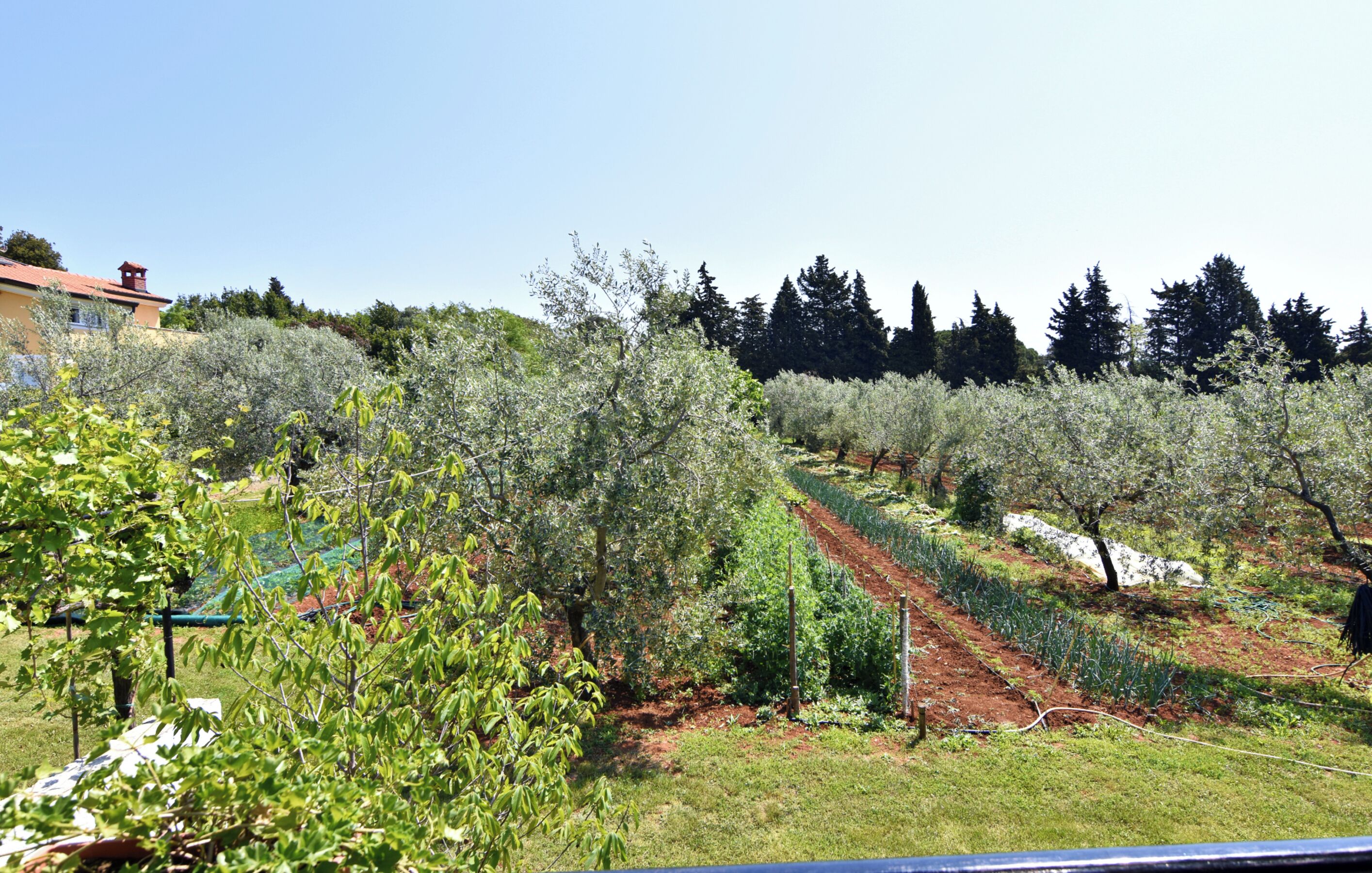 Departamento, 1 habitación, balcón, vista al jardín | Jardín