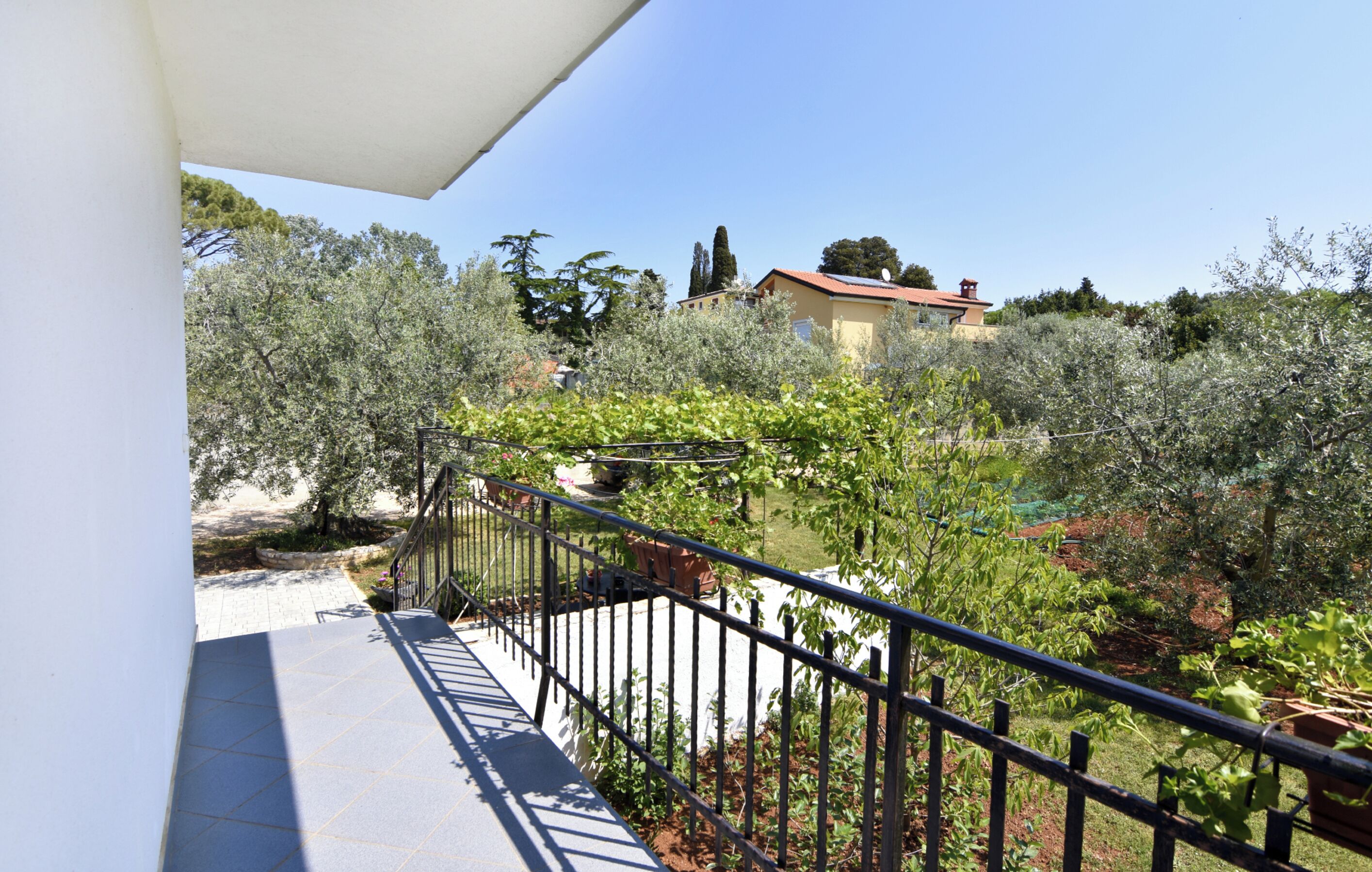 A balcony with a metal railing overlooking a garden with various plants and trees.