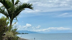 Une plage avec un palmier et une personne qui se promène le long du rivage.