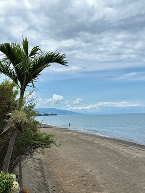A beach with a palm tree and a person walking along the shore. - Oceanfront Villa Mawar – Private Pool, Gorgeous Sunsets & Friendly Staff (Seririt, Kabupaten Buleleng, Bali)