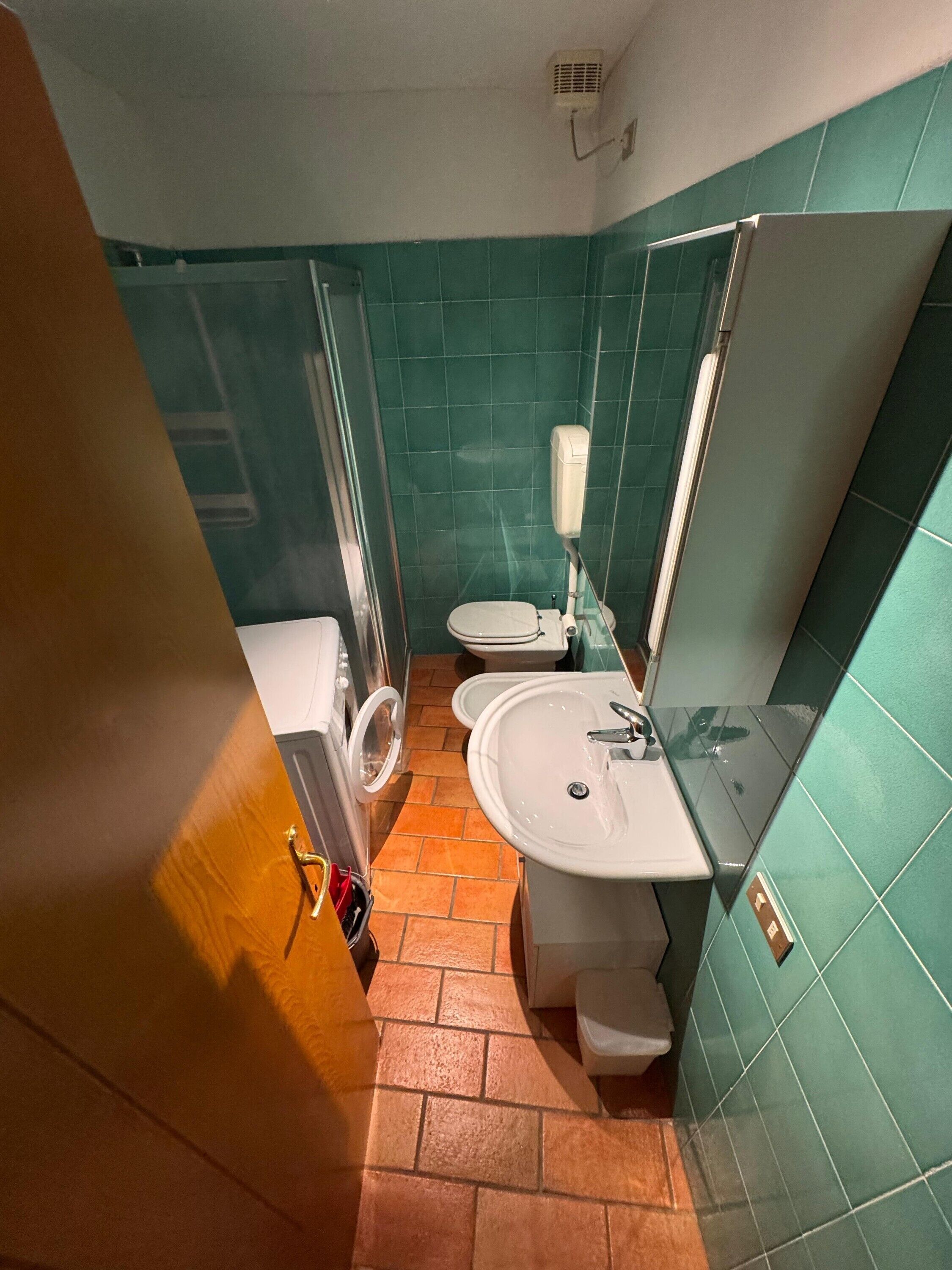 Chuveiro, secador de cabelo, toalhas de banho 