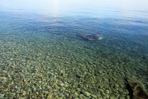 Botón de imagen sin clasificar, 3 de 18