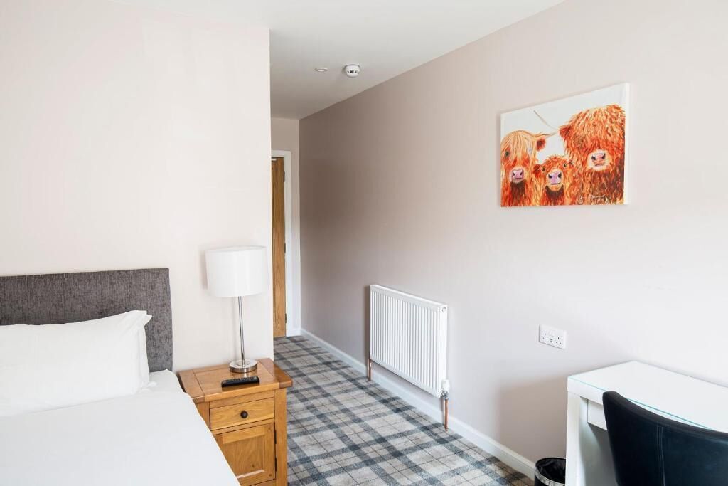 مكواة/لوح كي وواي فاي مجانًا