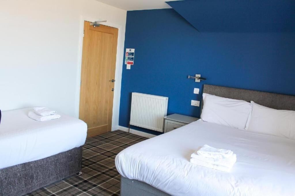 مكواة/لوح كي وواي فاي مجانًا