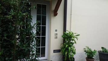 A building exterior with a door, potted plants, and a wall-mounted electrical box.