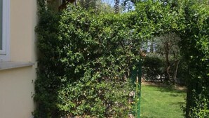 A stone pathway leading to a house with a green hedge and a potted white flower plant. - B&B Topaze (Sirmione)