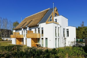Eksteriør