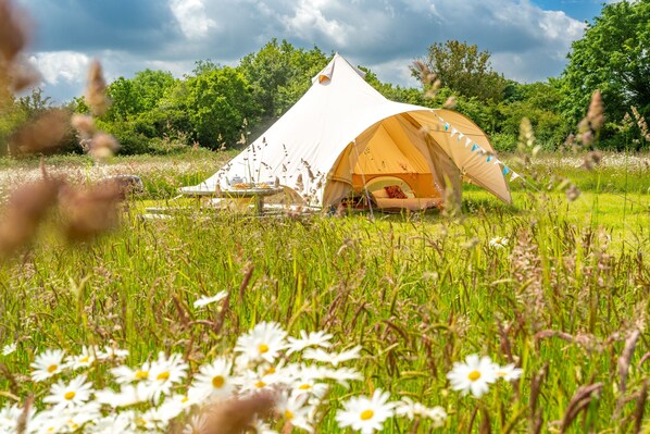 Een tent in een grasveld met bomen op de achtergrond.