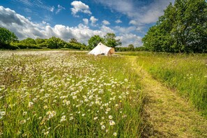 Miscellaneous - Poppy at Blanca's Bell Tents, , Hunstanton, Norfolk (Ringstead)