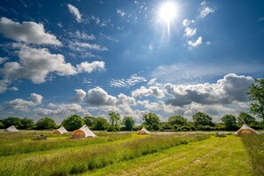 Miscellaneous - Red Clover at Blanca's Bell Tents, , Hunstanton, Norfolk (Ringstead)