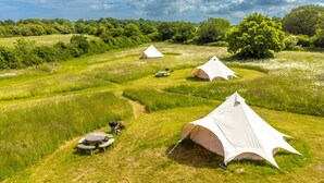 Um camping com tendas montadas em um campo gramado, cercado por árvores.
