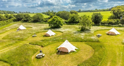 Daisy at Blanca’s Bell Tents, Hunstanton, Norfolk