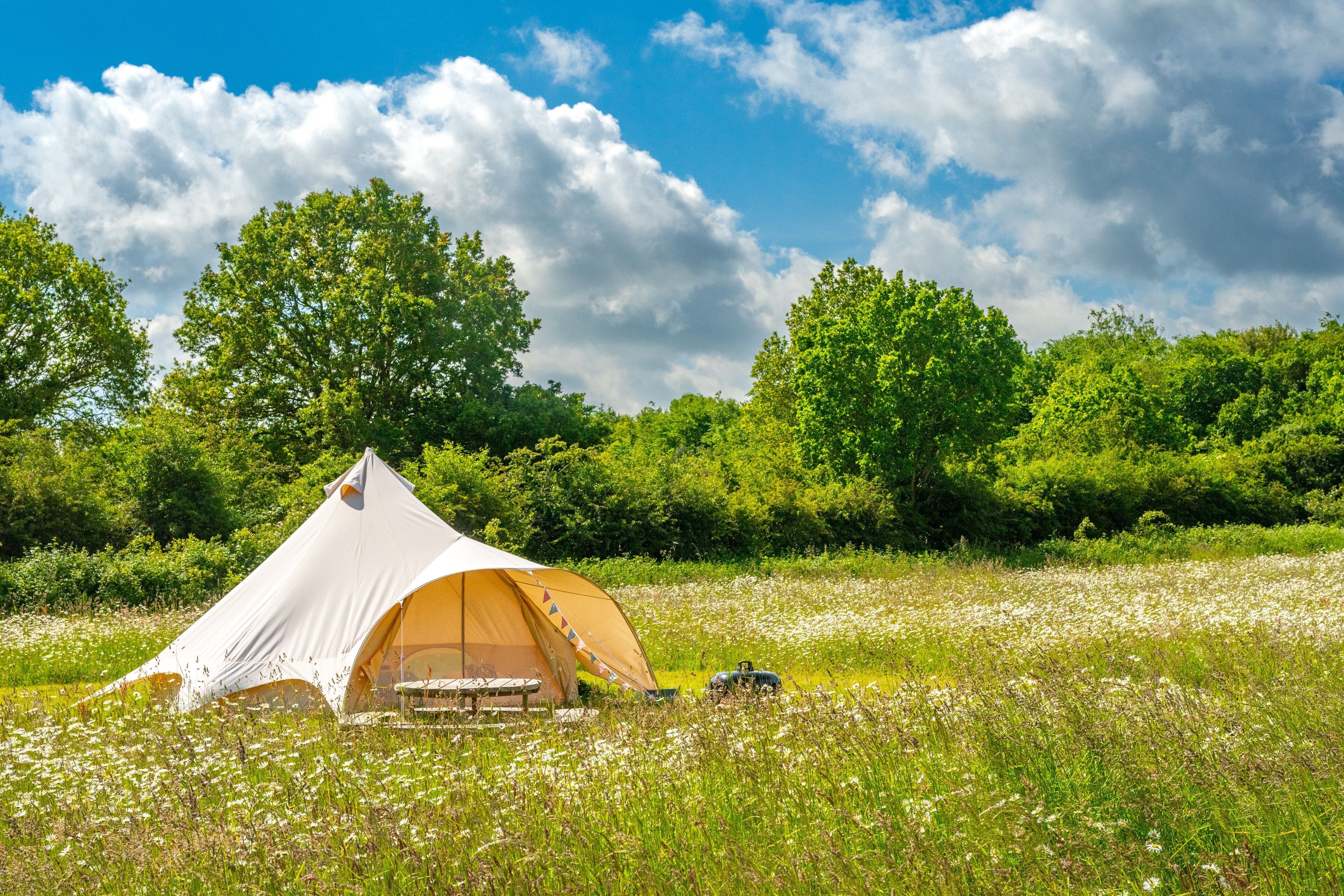 A tent set up in a grassy field with trees in the background.
