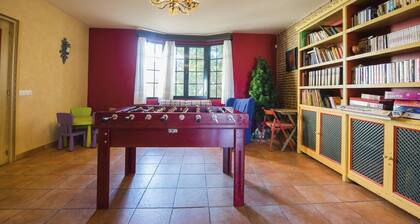 HOUSE VIRGEN DEL CARMEN AIR-CONDITIONED GARDENS SWIMMING POOL NEAR TOLEDO AND PUY DU FOU