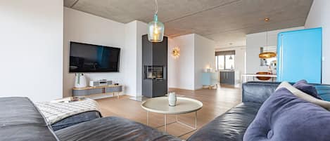 Télévision, cheminée, chaßne hi-fi