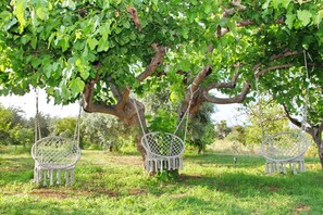 Tres columpios de mimbre blanco colgados de un árbol.