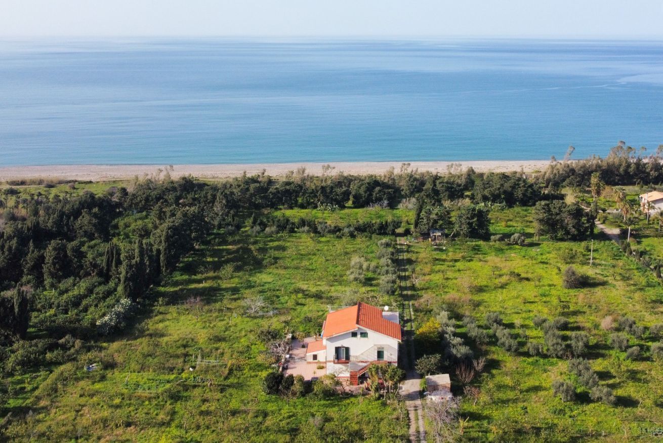 Ulkopuoli