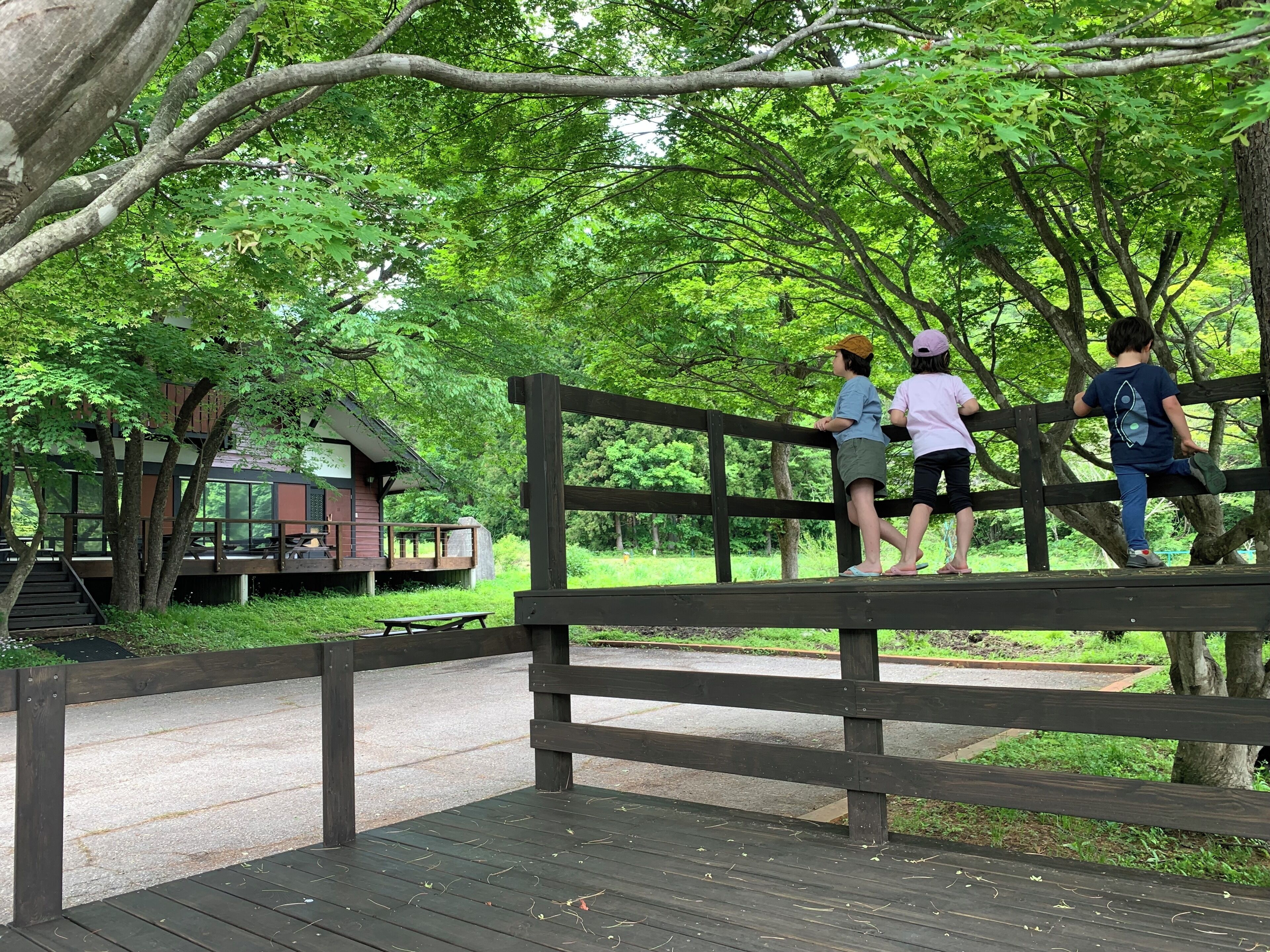 テラス / パティオ