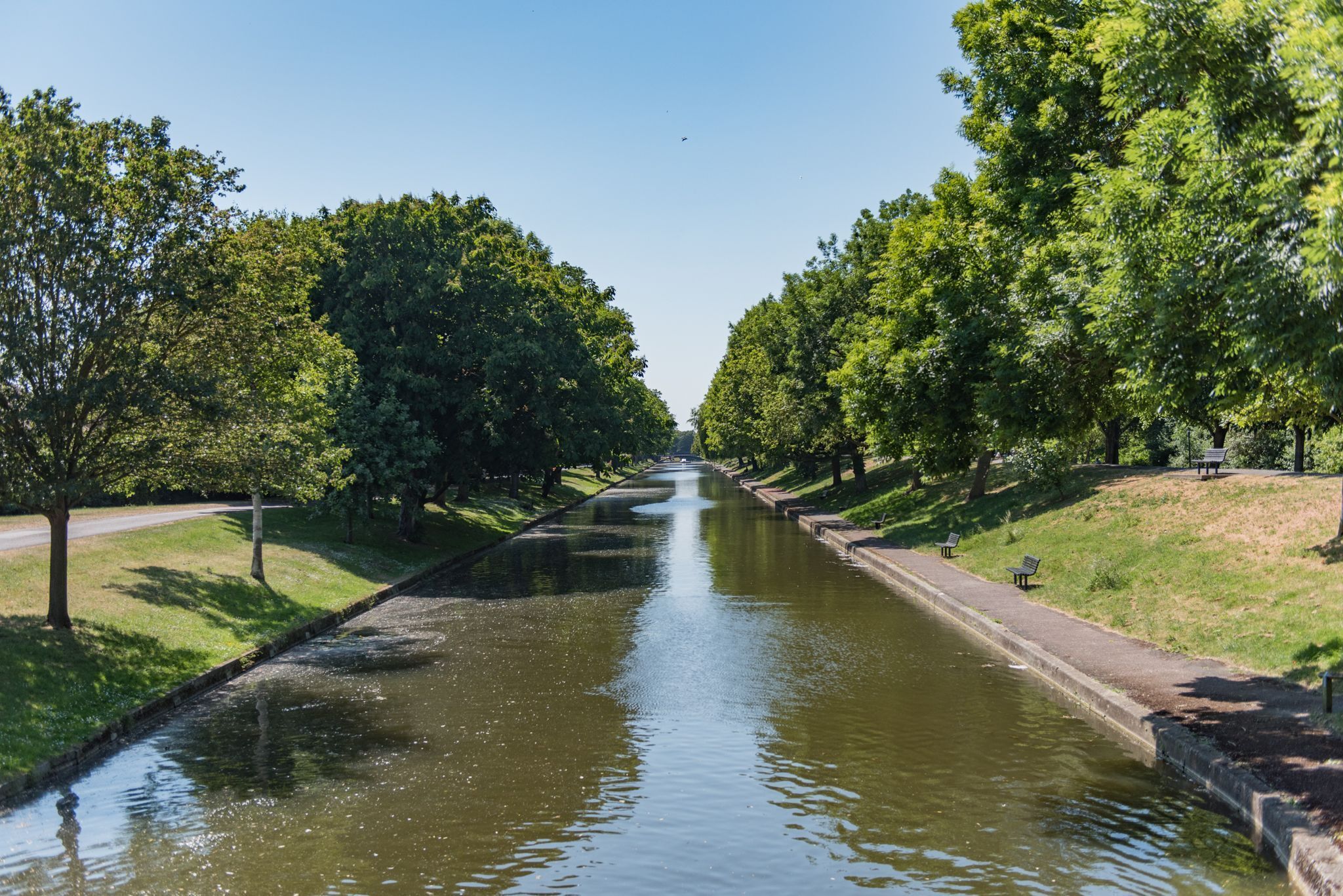 Un canale costeggiato da alberi e panchine, con un cielo sereno.