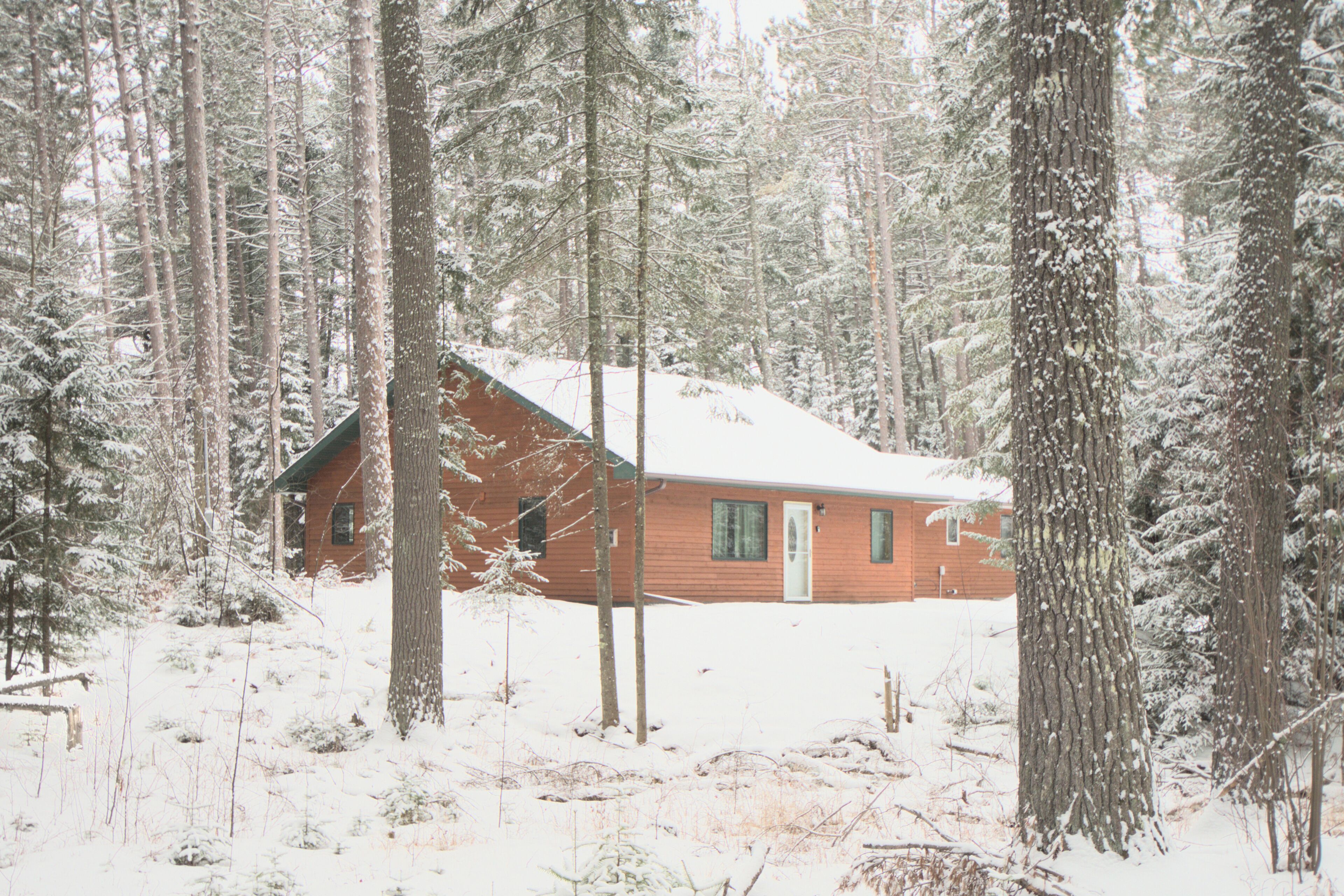 Welcome to Boreal Retreat! If you're in need of some forest bathing, this is the place!