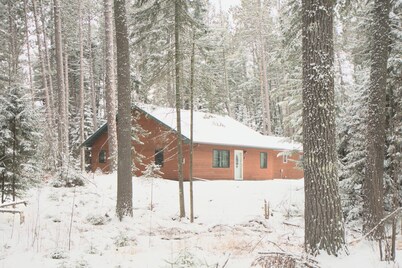 Boreal Retreat | Hideaway Under the Pines