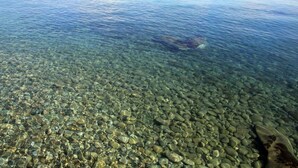 Een helder uitzicht op een kiezelstrand met rustig water.