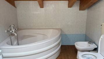 SĂšche-cheveux, serviettes fournies, savon, papier toilette