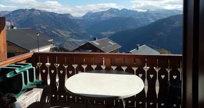 APPARTEMENT FACE AU MONT BLANC ET VALLEE DU BEAUFORTAIN