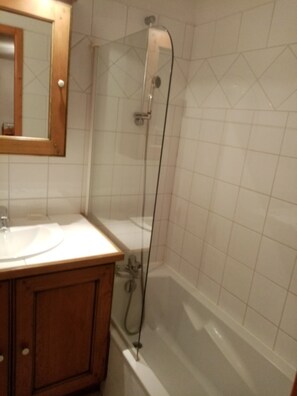 Shower, hair dryer, toilet paper - APARTMENT FACING MONT BLANC AND BEAUFORTAIN VALLEY (Villard-sur-Doron)