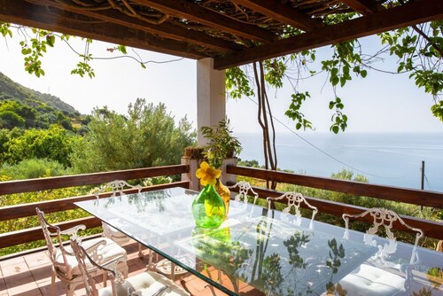 Villa Grimodi is an oasis of peace and tranquillity, immersed in the unspoiled nature of the Nebrodi Park and surrounded by centuries-old olive groves and vineyards. It is located in the picturesque Contrada Grimodi, in the territory of Caronia, in the p