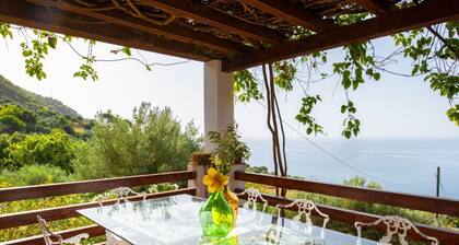 Villa Grimodi is an oasis of peace and tranquillity, immersed in the unspoiled nature of the Nebrodi Park and surrounded by centuries-old olive groves and vineyards. It is located in the picturesque Contrada Grimodi, in the territory of Caronia, in the p