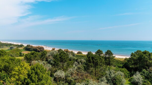 A coastal landscape with a beach, dense greenery, and a clear blue sky. - Residence Belvedere (Lido Adriano)