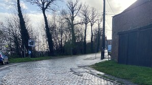 Una strada acciottolata con un edificio in mattoni a destra e alberi sullo sfondo.