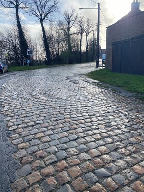 Property grounds - Gîte Panoramique 6 pers with exceptional view of the heights of Mont Cassel (Cassel)