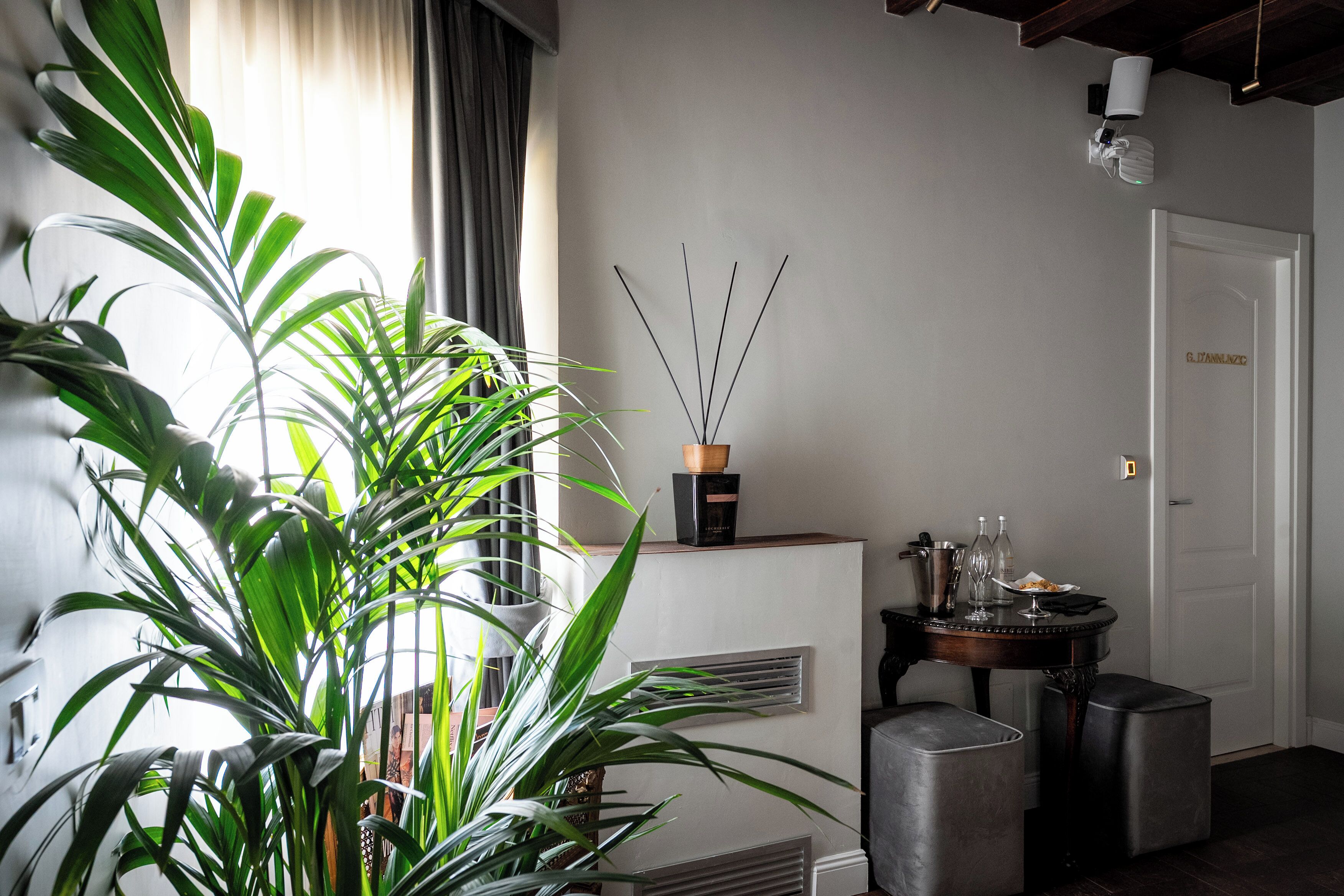 Une pièce avec une grande plante en pot, une table avec un vase et une porte avec une pancarte.