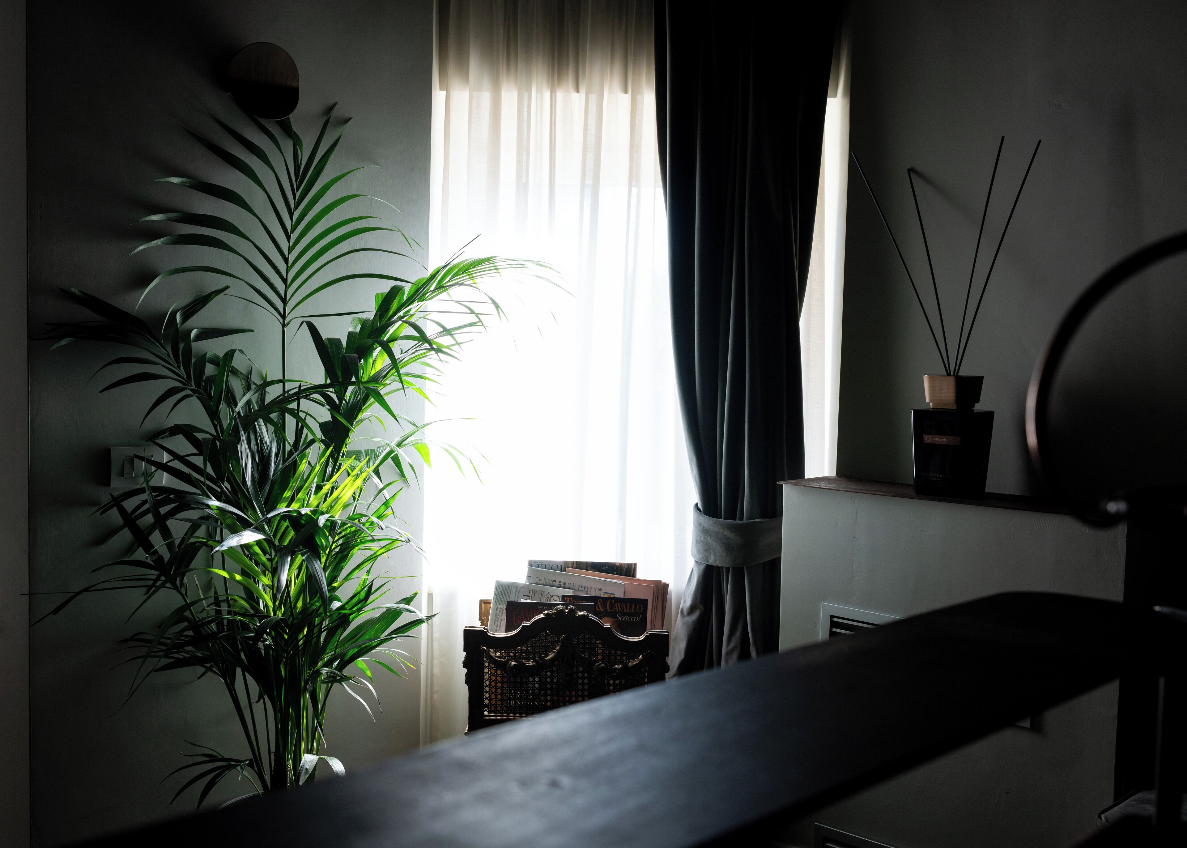 A room with a potted plant, a window with sheer curtains, a small table with books, and a wall-mounted shelf with a candle and reed diffuser.