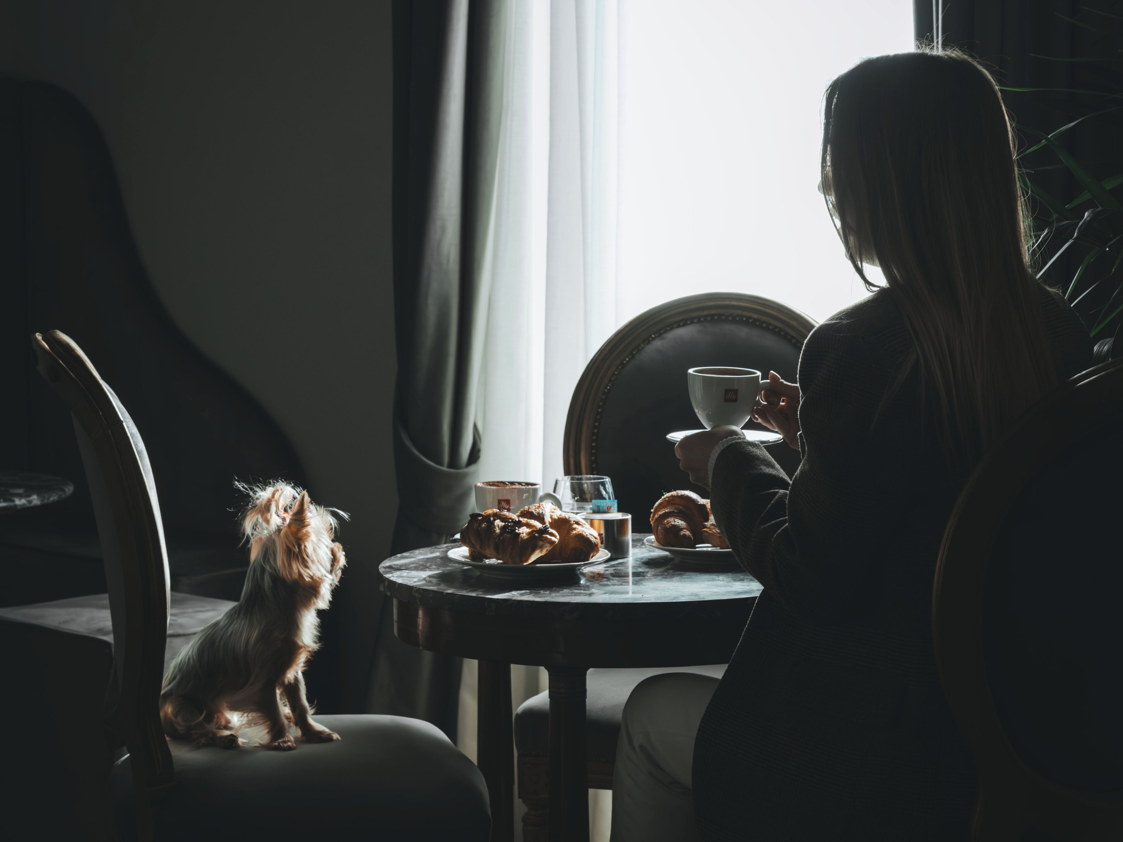 Una mujer sentada a una mesa redonda con una taza y pasteles, un perro en el suelo, y una silla con cojín.