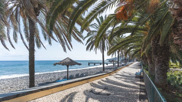 A paved walkway with palm trees, a beach, and a thatched-roof structure. - Santa Cruz Studio 3 by Atlantic Holiday (Santa Cruz)