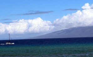 Apartment | 2 bedrooms - Oceanfront Whale Watching Sunsets Island Views on Big Lanai (Lahaina)