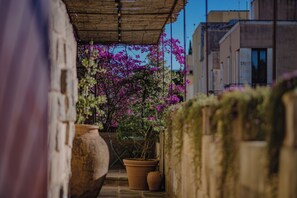 舒適公寓, 庭園景觀 | 露台/庭院