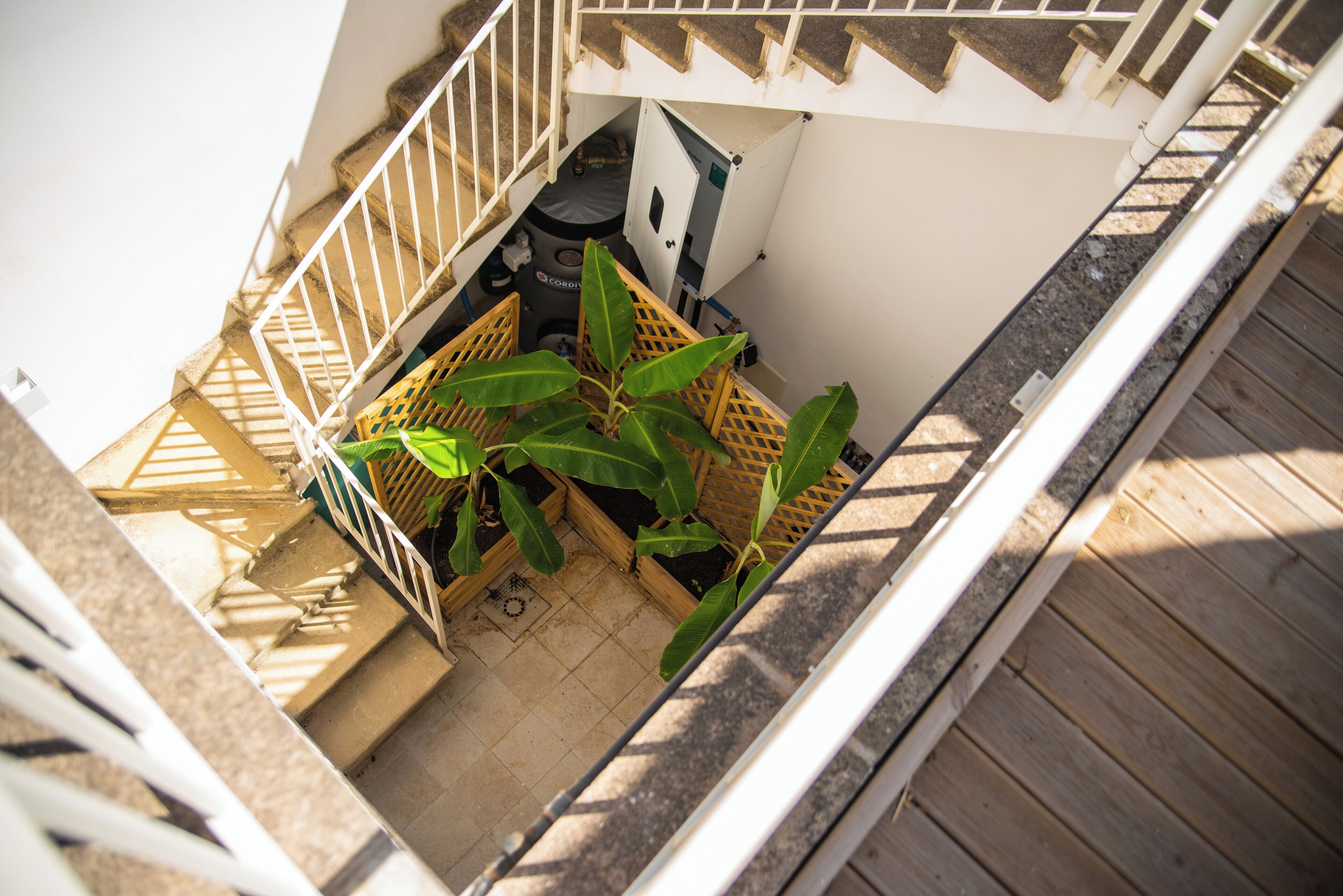 Un espace extérieur étroit doté d’un escalier en bois, d’un petit jardin avec de grandes plantes vertes et d’une porte blanche donnant sur une pièce.