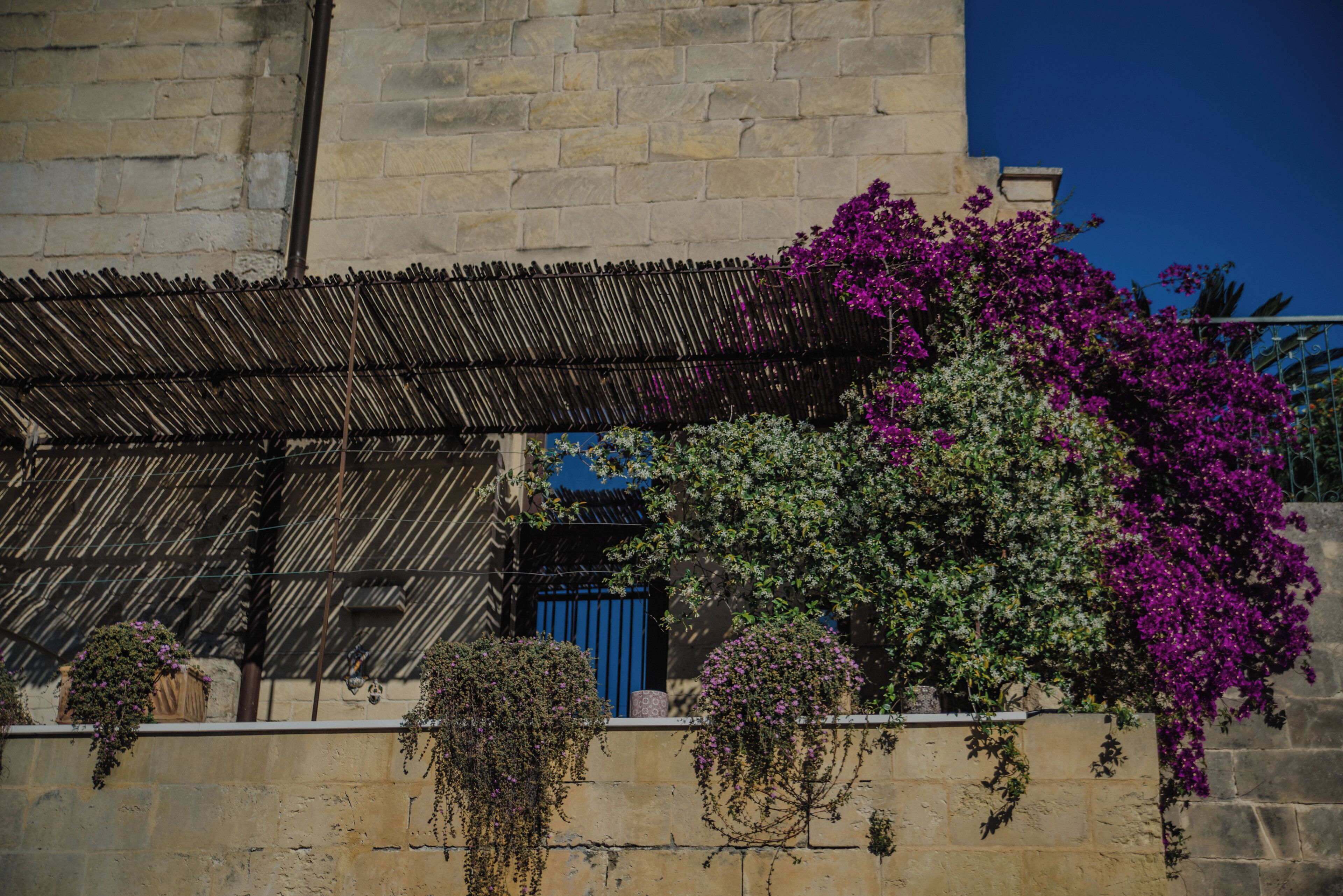 A building with a stone facade, a blue gate, and purple flowering plants.