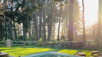 Une piscine entourée d’une pelouse et d’arbres.