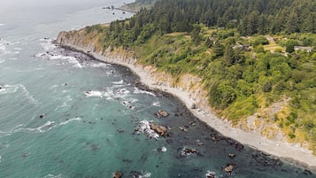 A coastal landscape with a rocky shoreline, dense forested hills, and a clear view of the ocean.