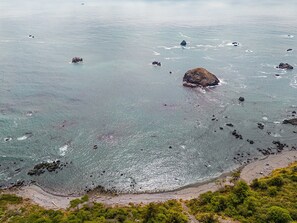 A coastal landscape with clear water, rocky outcrops, and a sandy beach. - Peaceful Seaside Farmhouse, near Moonstone Beach and Redwood National Park (Trinidad)